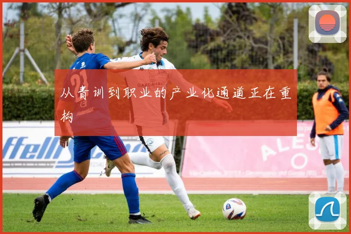 从青训到职业的产业化通道正在重构