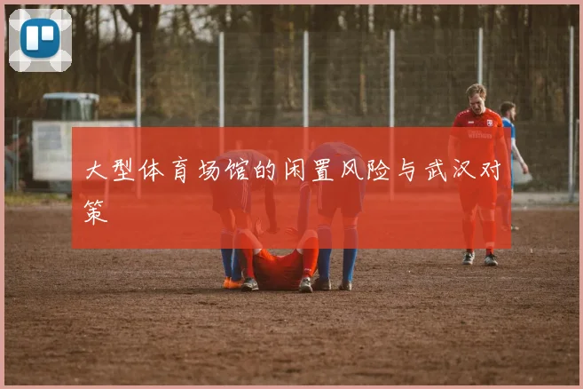 大型体育场馆的闲置风险与武汉对策