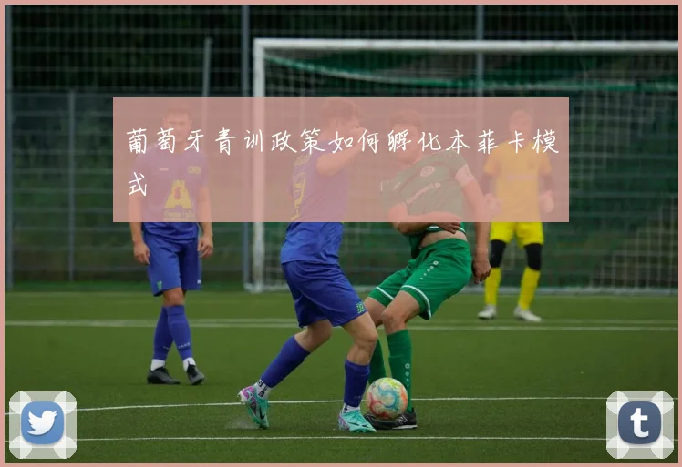 葡萄牙青训政策如何孵化本菲卡模式
