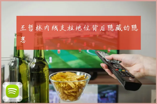 王哲林内线支柱地位背后隐藏的隐患